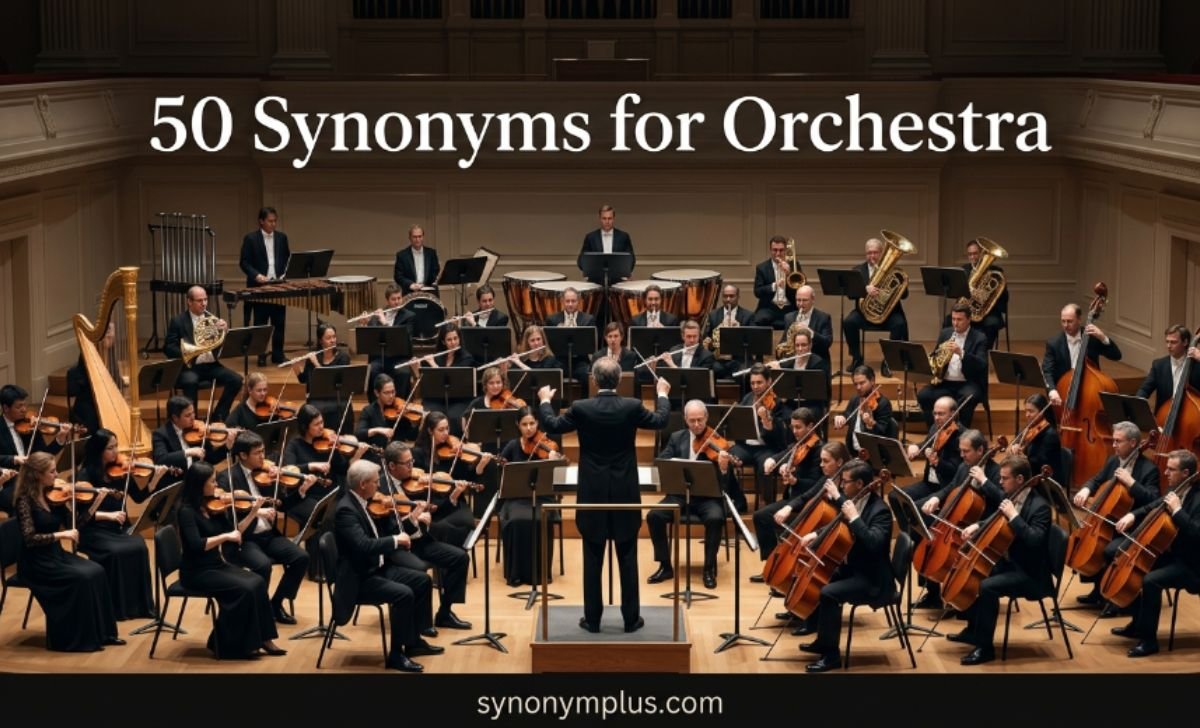 50 Synonyms for Orchestra